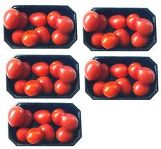 Tomaten-5x9.jpg